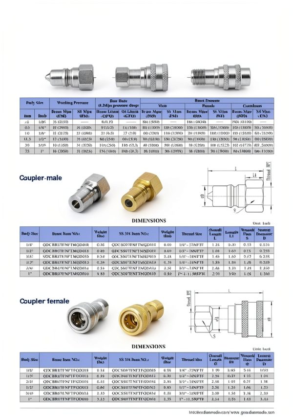 Guardian Brass Hydraulic Coupling Quick Disconnect NPT-2