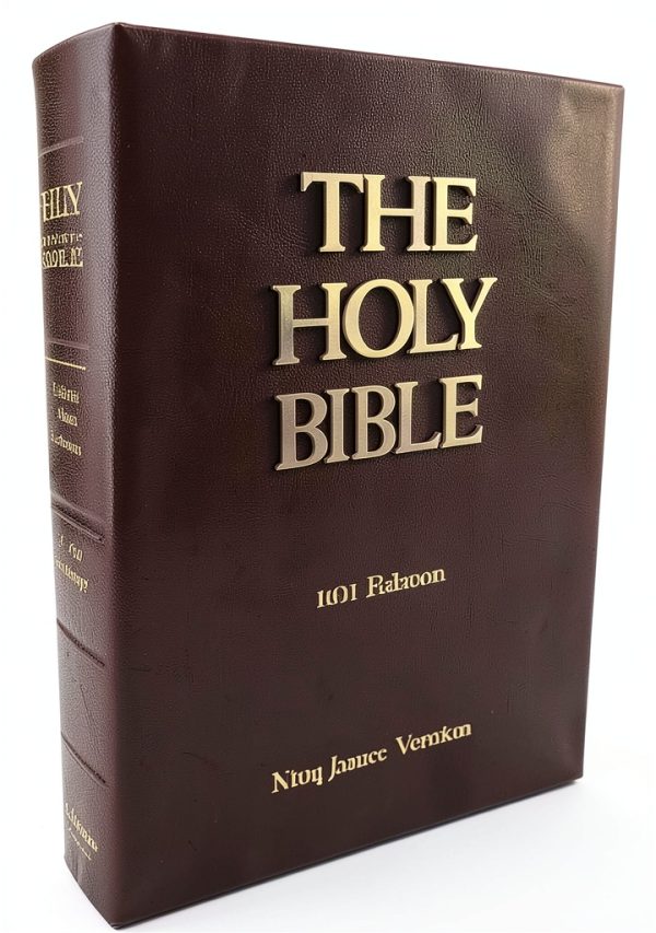 Holy Bible Kindle Edition Christian Bibles-0
