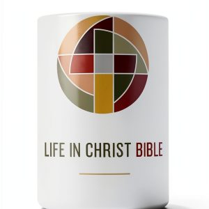 King James Christian Bible Kindle Edition by Thomas Nelson 2024-0